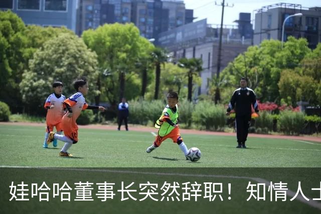 娃哈哈董事长突然辞职！知情人士：怕当背锅侠，跑得比谁都快