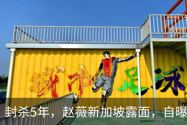 封杀5年，赵薇新加坡露面，自曝谋生手段，估计和你想的不一样