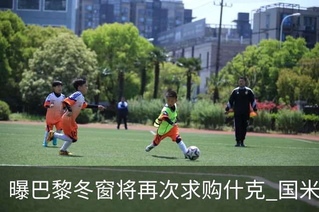 曝巴黎冬窗将再次求购什克 国米已在寻找替代者