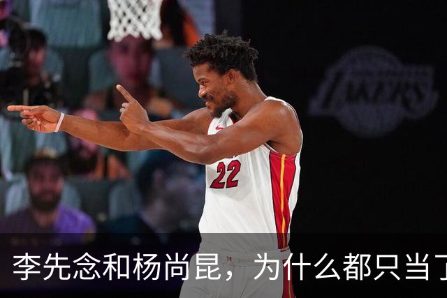 李先念和杨尚昆，为什么都只当了一届国家主席？
