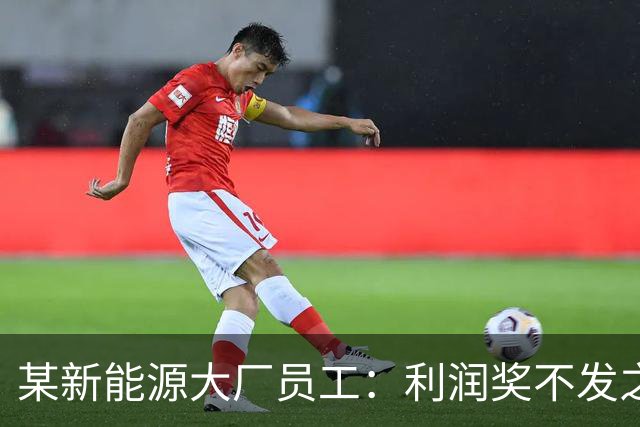 某新能源大厂员工：利润奖不发之后，确诊抑郁了