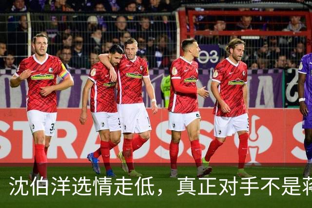 沈伯洋选情走低，真正对手不是蒋万安，也不是大陆，而是赖清德？