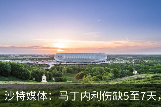 沙特媒体：马丁内利伤缺5至7天，预计11月7日复出