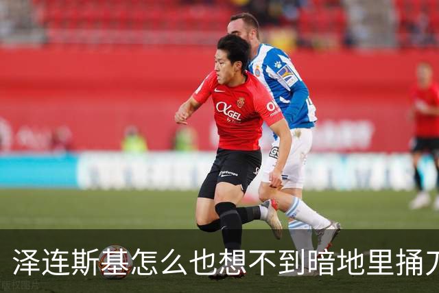 泽连斯基怎么也想不到暗地里捅刀的竟然是欧洲。