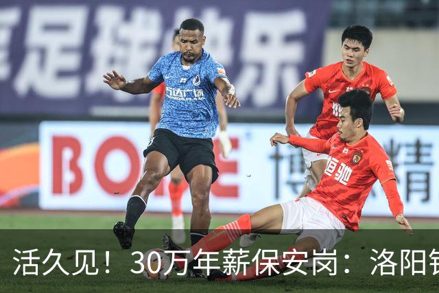 活久见！30万年薪保安岗：洛阳钼业招100名驻外安保，地点刚果金，评论彻底沸腾