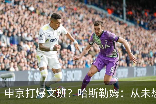 申京打爆文班？哈斯勒姆：从未想过DPOY会在关键时刻被迫换防