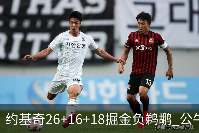 约基奇26+16+18掘金负鹈鹕 公牛不敌魔术3连败
