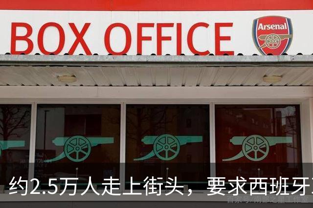 约2.5万人走上街头，要求西班牙政府保障国家养老金制度