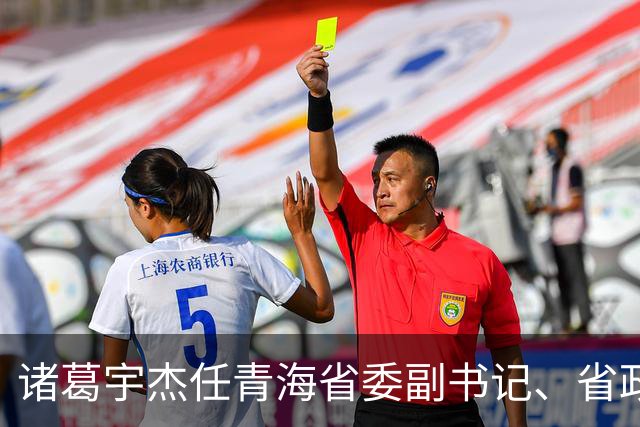 诸葛宇杰任青海省委副书记、省政府党组书记