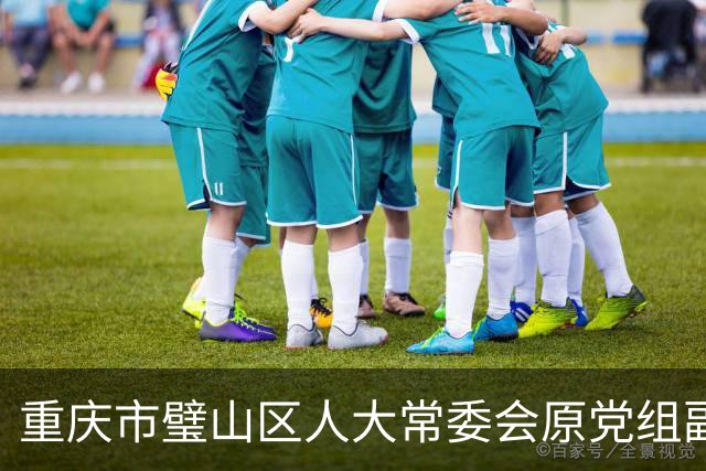 重庆市璧山区人大常委会原党组副书记朱朝阳被“双开”