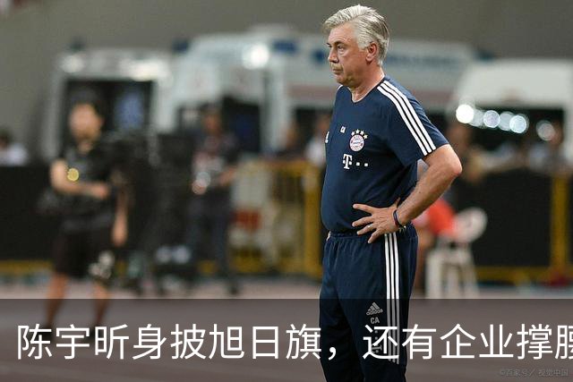 陈宇昕身披旭日旗，还有企业撑腰，汤家凤怒喊露头就打