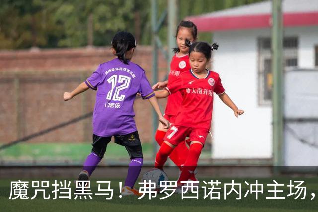 魔咒挡黑马！弗罗西诺内冲主场，4，连胜，残阵莱切客场来抢分